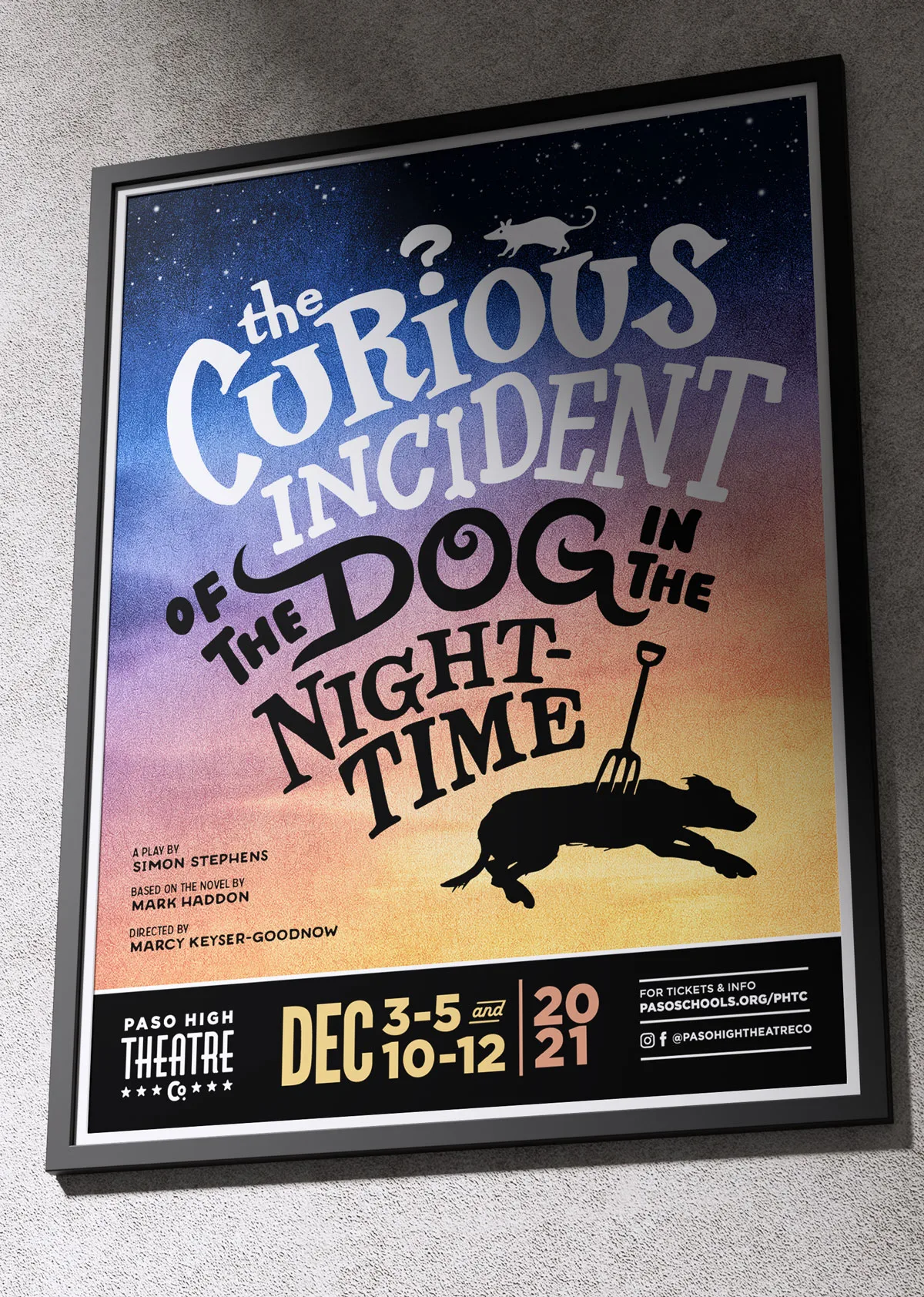 The Curious Incident of The Dog in the Night-Time show poster