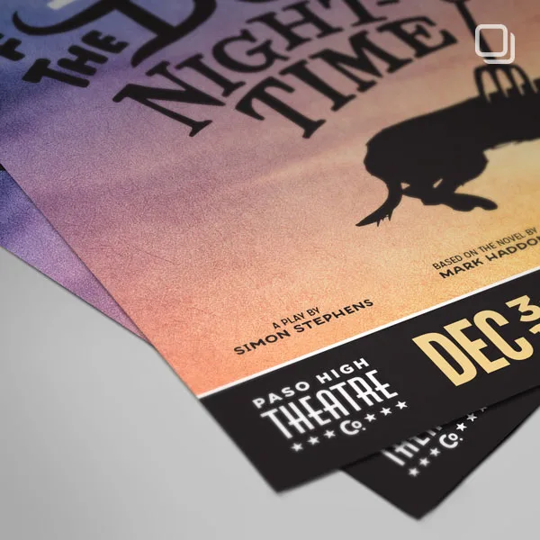 The Curious Incident of the Dog in The Night Time show poster