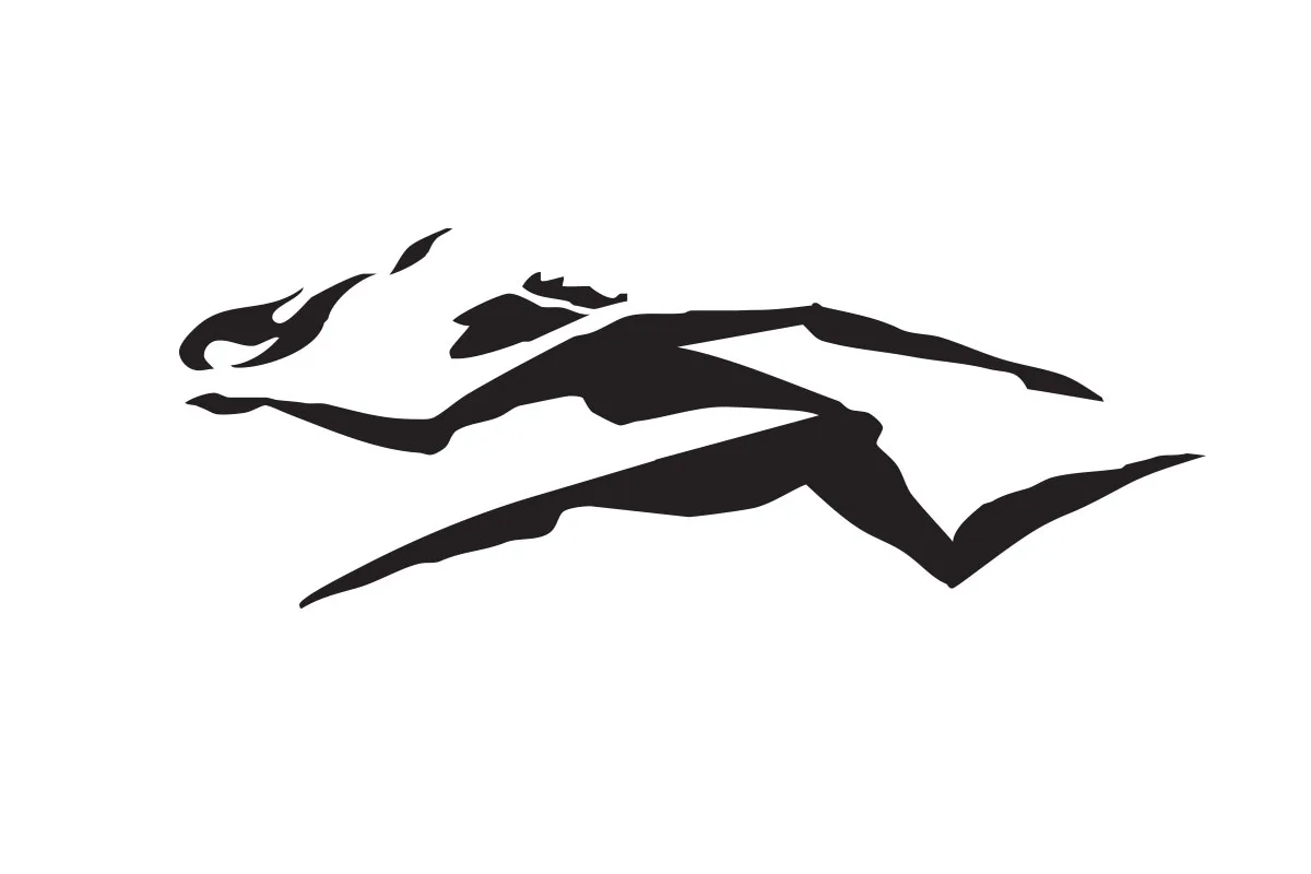Prometheus logo
