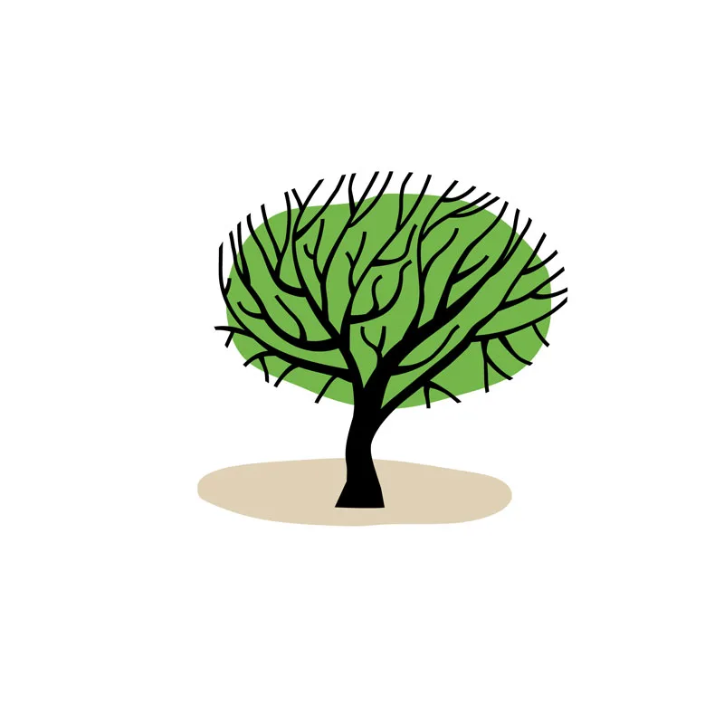 Live Oak Wealth Management