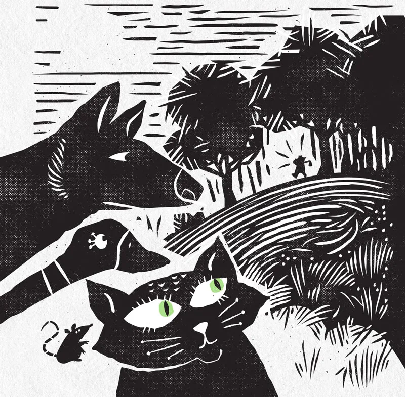 The Tale of Tiny Timber by Scott Saunders